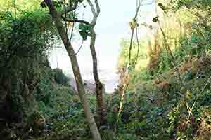 Tung Ping Chau, Mirs Bay, 26 November 2017