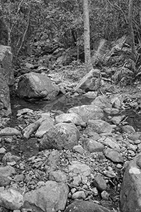 Stream, Pokfulam Country Park, Hong Kong Island, 5 November 2017