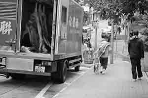 Worker transporting butchered pigs, Second Street, Sai Ying Pun, Hong Kong Island, 27 November 2017