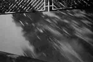 Pound Lane, Sheung Wan, 10 November 2017