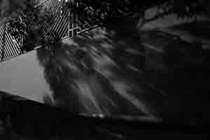 Pound Lane, Sheung Wan, 10 November 2017