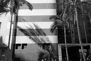 Light on Sheung Wan Post Office, Morrison Street, 3 December 2017