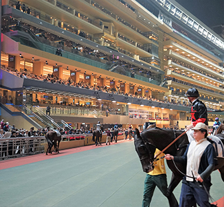 Hong Kong Jockey Club Happy Valley racecourse, 6 December 2017