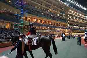 Hong Kong Jockey Club Happy Valley racecourse, 6 December 2017