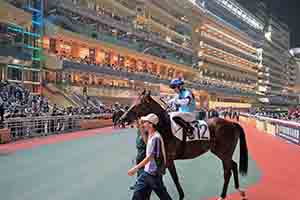 Hong Kong Jockey Club Happy Valley racecourse, 6 December 2017