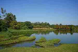 Hong Kong Wetland Park, Tin Shui Wai, 21 December 2017