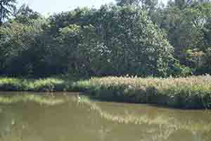 Hong Kong Wetland Park, Tin Shui Wai, 21 December 2017