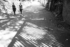 Shadows, Pokfulam Reservoir Road, 27 December 2017