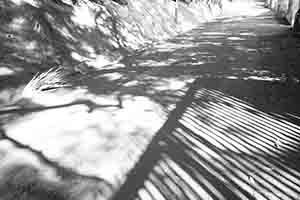Shadows, Pokfulam Reservoir Road,  27 December 2017