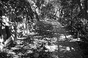 Hong Kong Trail, Hong Kong Island, 27 December 2017