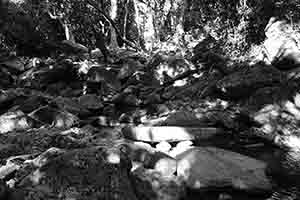 Stream in the Aberdeen Country Park, Hong Kong Island, just off the Hong Kong Trail, 27 December 2017