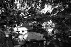 Stream in the Aberdeen Country Park, Hong Kong Island, just off the Hong Kong Trail, 27 December 2017