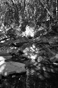 Stream in the Aberdeen Country Park, Hong Kong Island, just off the Hong Kong Trail, 27 December 2017