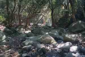 Stream in the Aberdeen Country Park, Hong Kong Island, just off the Hong Kong Trail, 27 December 2017