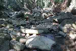 Stream in the Aberdeen Country Park, Hong Kong Island, just off the Hong Kong Trail, 27 December 2017