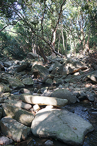Stream in the Aberdeen Country Park, Hong Kong Island, just off the Hong Kong Trail, 27 December 2017