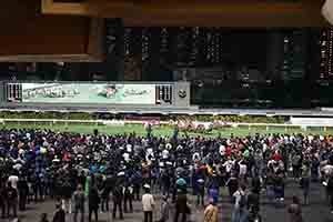 Hong Kong Jockey Club Happy Valley racecourse, 6 December 2017