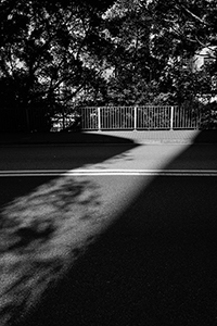 Light on Bonham Road, 13 January 2018