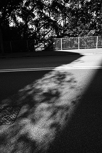 Light on Bonham Road, 13 January 2018
