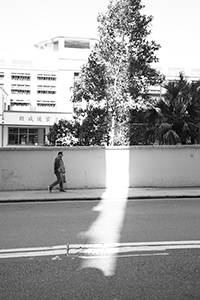 Light on Bonham Road, 13 January 2018