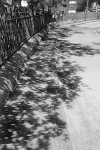 Shadows of trees at night, Hospital Road, 16 January 2018