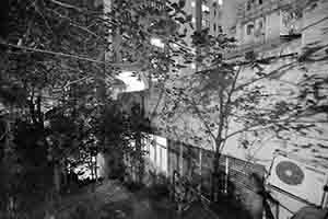 Nighttime shadows of trees on buildings, Tai Ping Shan, 16 January 2018