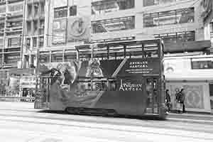 Tram, Des Voeux Road Central, Sheung Wan, 19 January 2018