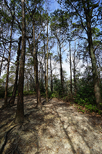 Tai Lam Country Park, 21 January 2018