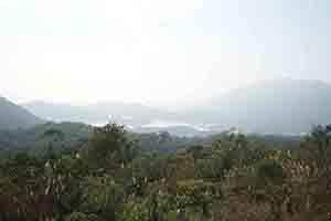 Tai Lam Country Park, 21 January 2018