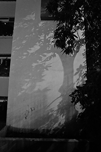 Nighttime shadows of a tree on a building, Tai Ping Shan, 23 January 2018