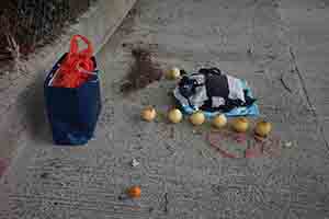 Fruit and clothes left at a roadside shrine, Deep Water Bay, 28 January 2018