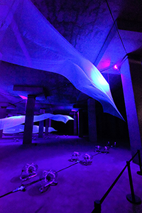 'After the deluge', a work by Kingsley Ng at Tai Hang Tung Stormwater Tank, Kowloon, 6 January 2018