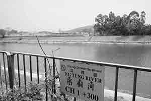 Ng Tung River, near Lo Wu, 11 February 2018