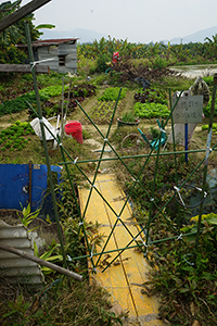 Agriculture in Long Valley, 11 February 2018