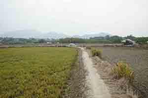 Agriculture in Long Valley, 11 February 2018