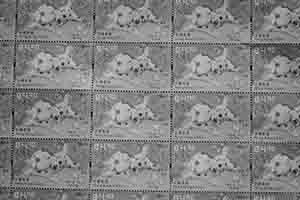 Year of Dog postage stamps,  Sheung Wan, 15 February 2018