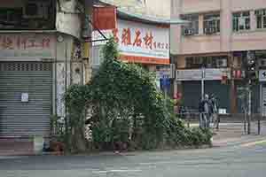 Street scene, Sham Shui Po, 16 February 2018