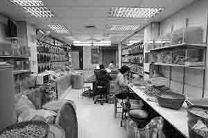 People sorting ginseng in a shop, Wing Lok Street, Sheung Wan, 10 March 2018