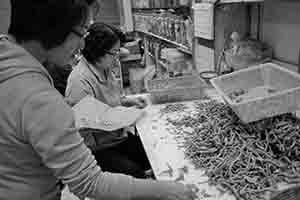 People sorting ginseng in a shop, Wing Lok Street, Sheung Wan,  10 March 2018