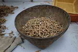 In a ginseng shop, Sheung Wan, 10 March 2018