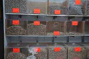 Inside a ginseng shop, Wing Lok Street, Sheung Wan, 10 March 2018