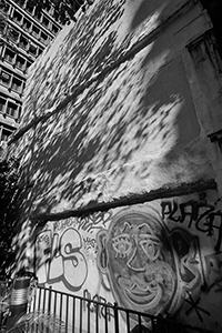Shadow of tree on a wall, Sheung Wan, 10 March 2018