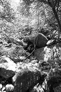 Tei Tong Tsai Country Trail, Lantau, 11 March 2018