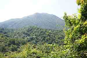Mountain view, Lantau, 11 March 2018