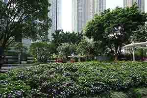 Recreation area beside luxury residential buildings, West Kowloon, 25 March 2018