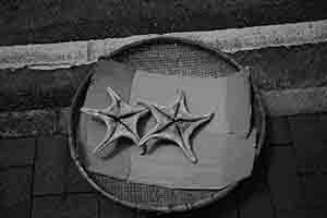 Airing dried starfish, Sheung Wan, Hong Kong Island, 26 March 2018