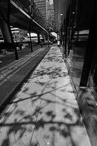 Shadow of trees on the ground, Wanchai, 31 March 2018