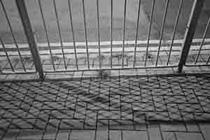 Shadow of railing, Wanchai, 9 March 2018