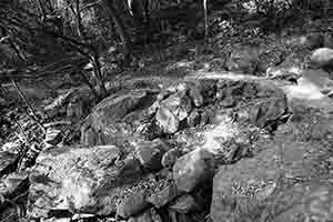 Rocks and trees on the Hong Kong Trail, Pokfulam Country Park, 1 April 2018