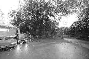 Rain through a bus window, Pak Tam Chung, Sai Kung Peninsula, 15 April 2018